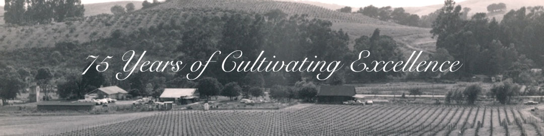 75 years of cultivating excellence